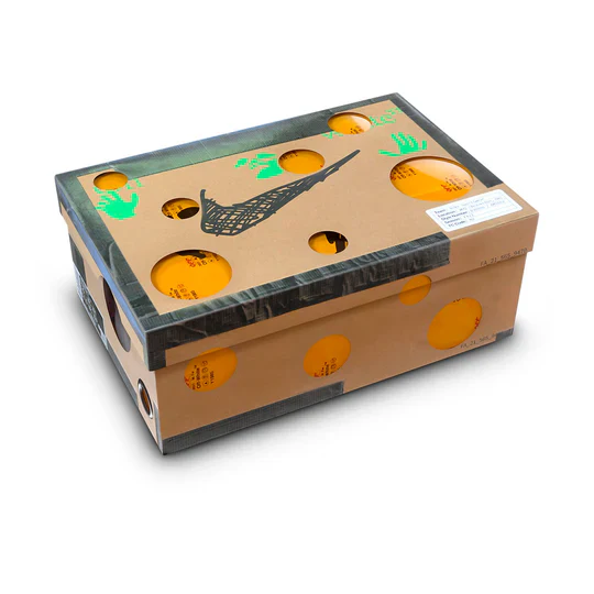 Miniatura 4